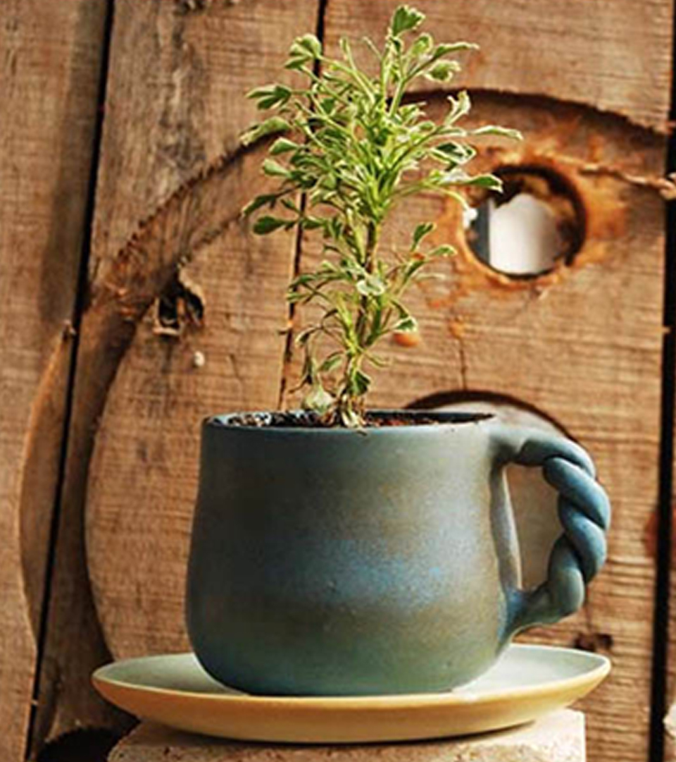3 Chie planters for that ultimately look